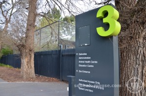 Service Gate 3, Adelaide Zoo