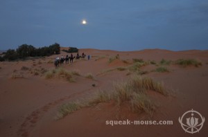 Before sunrise, Sahara, Morocco