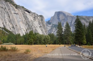 Walking through Yosemite, United States